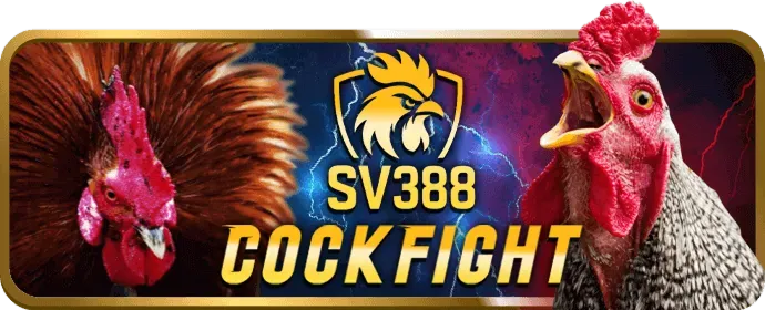 Hỗ trợ khách hàng 77win1